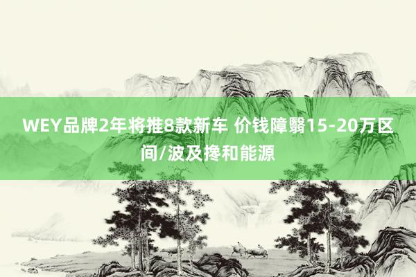 WEY品牌2年将推8款新车 价钱障翳15-20万区间/波及搀和能源