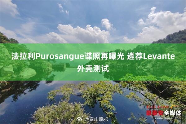 法拉利Purosangue谍照再曝光 遴荐Levante外壳测试